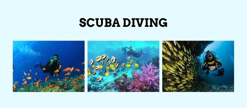 scuba-diving-in-malvan